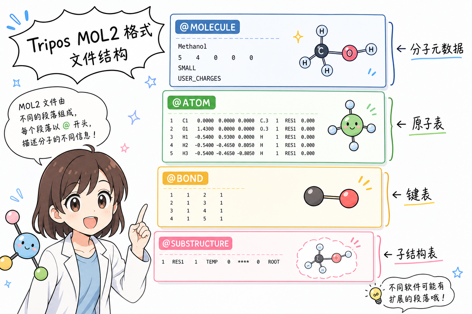 MOL2:@MOLECULE / @ATOM / @BOND 分段直觉(科普示意,非官方原图)