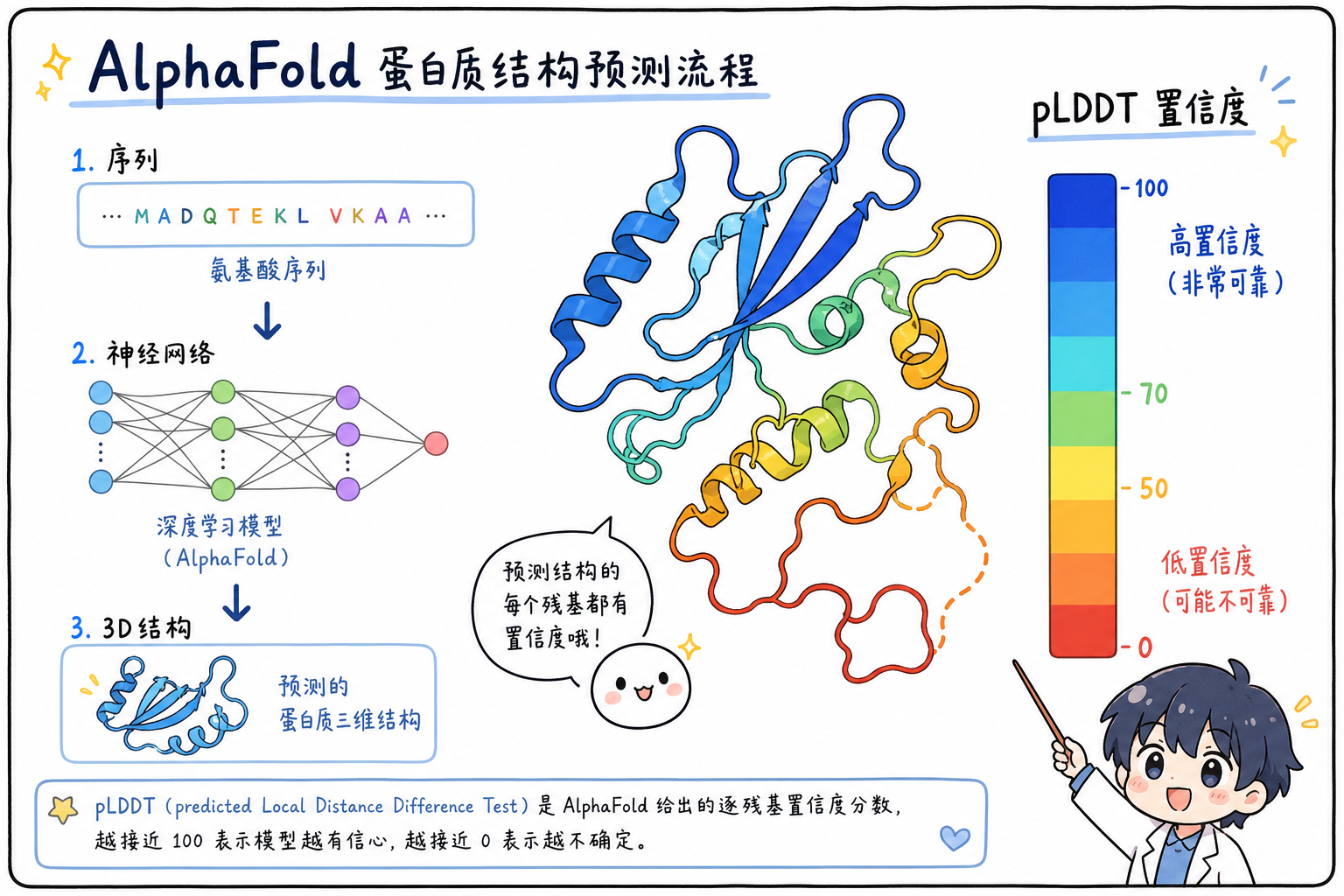 AlphaFold 类输出与 pLDDT 着色直觉(科研动漫风示意图,非官方原图)