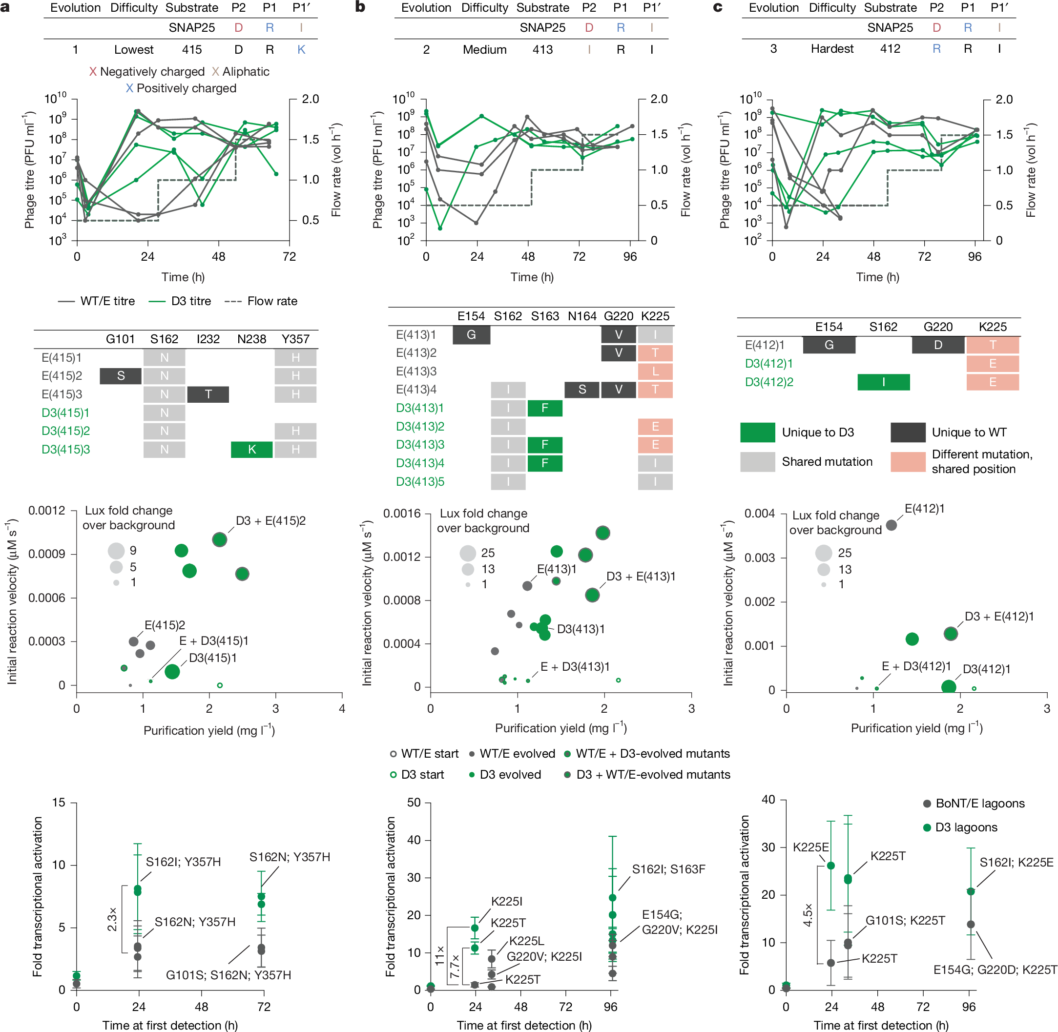 原文 Fig.3:WT vs D3 在三档难度底物上的进化结果