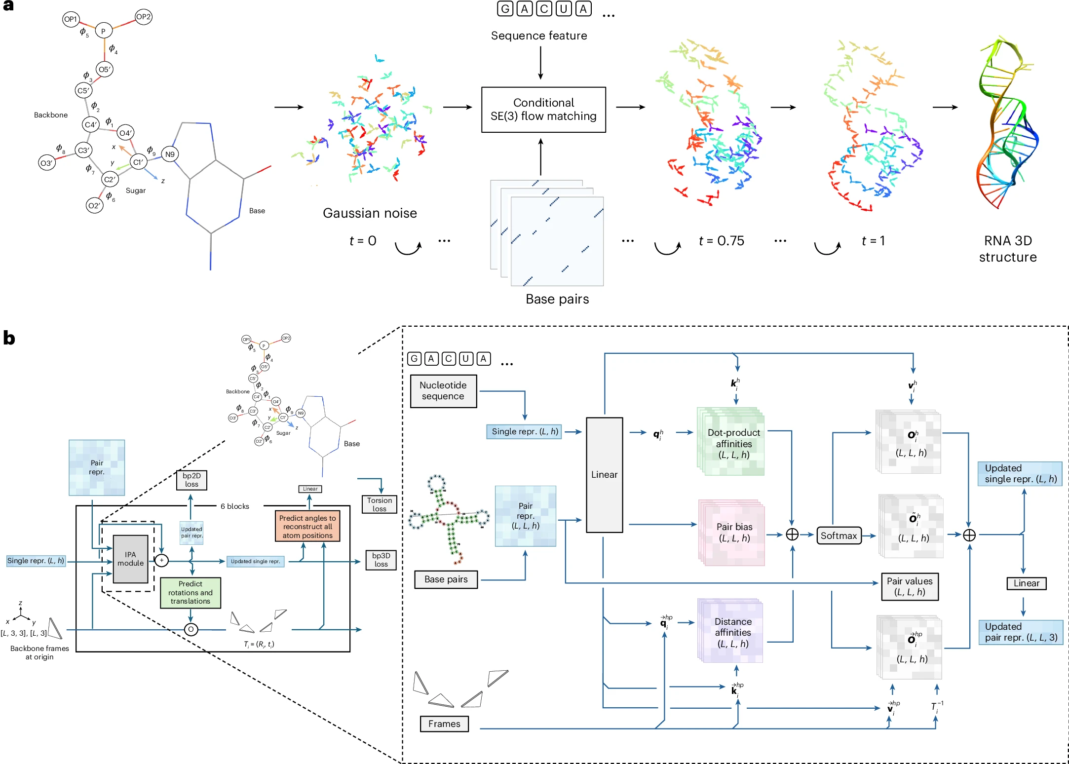 原文 Fig.1 Overview of RNAbpFlow