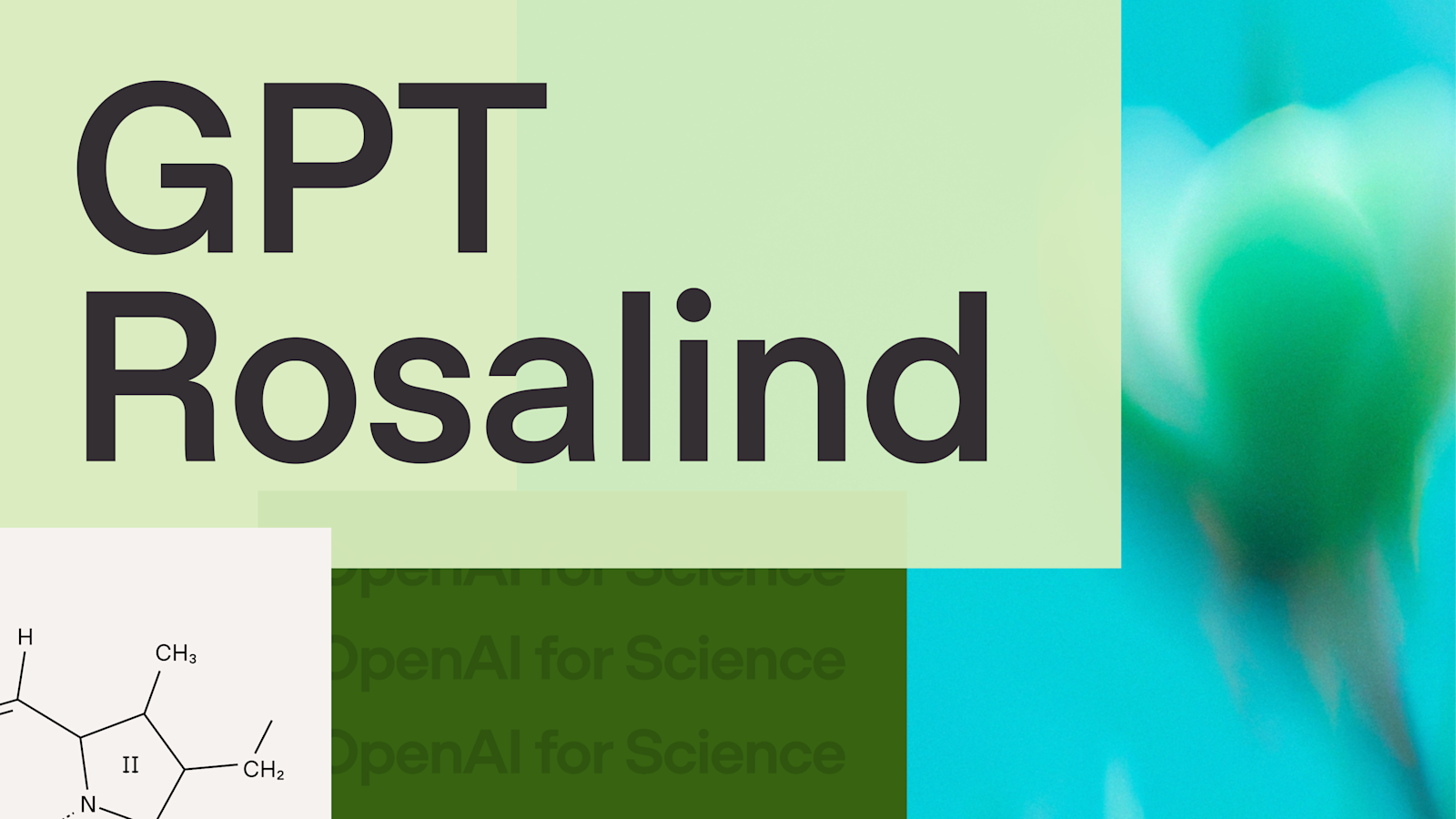 OpenAI 介绍页配图:GPT-Rosalind 生命科学研究主题视觉(官方素材,本地归档)