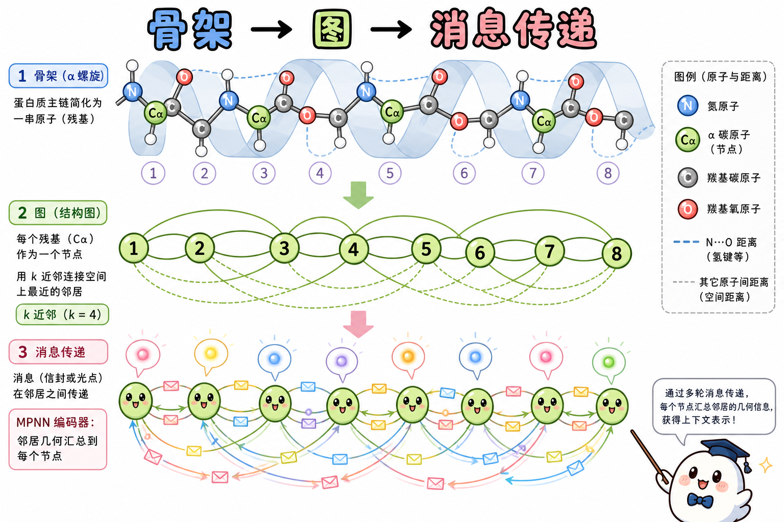 主链建图、k 近邻与 MPNN 消息传递直觉(科普动漫风示意图,非论文原图)