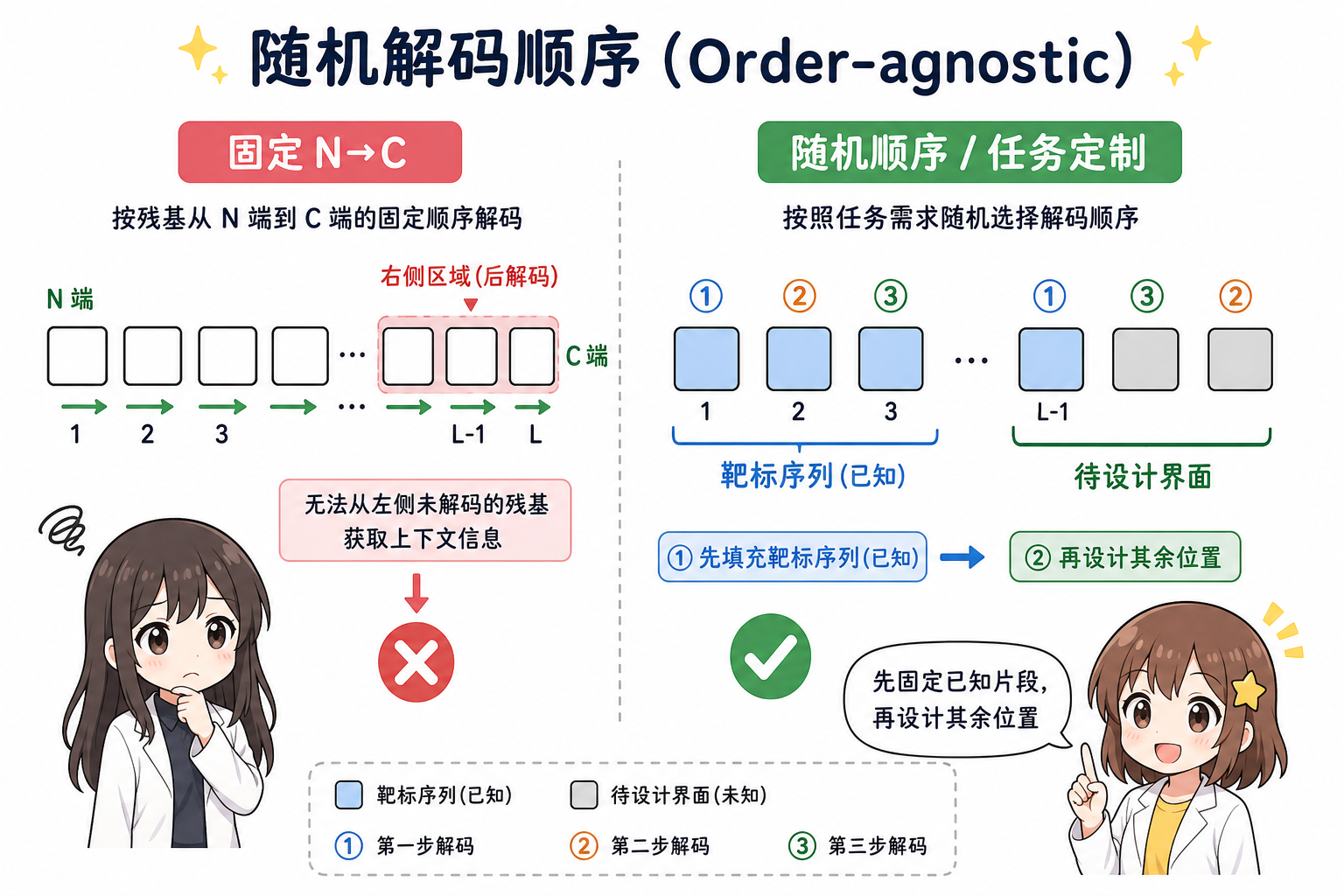 固定 N→C 与随机解码顺序、先固定已知片段再设计界面(科普动漫风示意图,非论文原图)