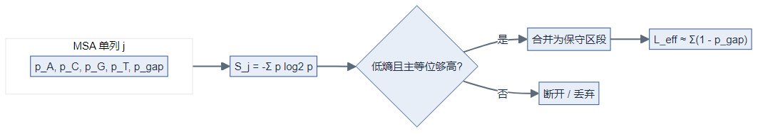 MSA 单列熵、区段合并与有效长度(科研风格示意图,与下节 Mermaid 同源)