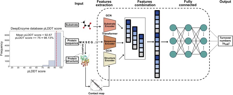 Figure 1. The framework of DeepEnzyme for kcat prediction.