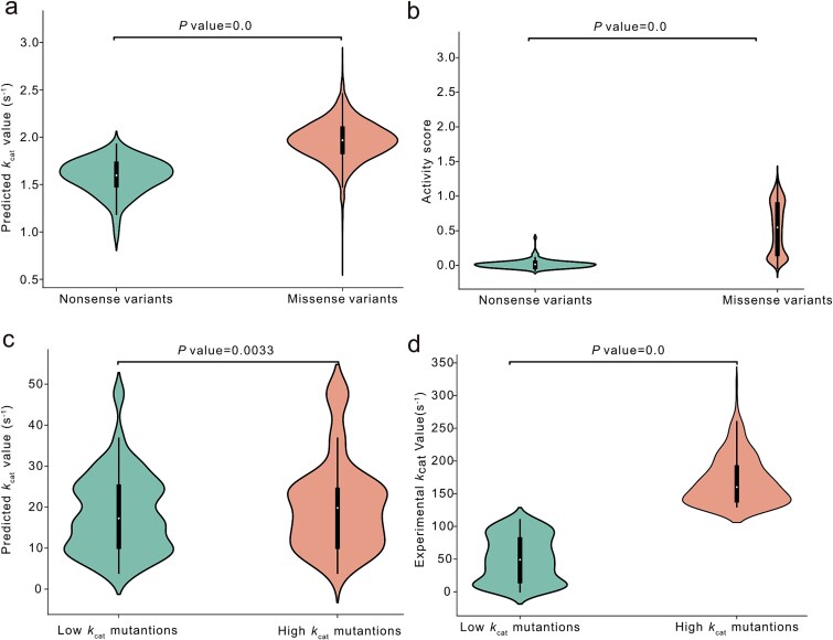 Figure 4. Analysis of the prediction ability of DeepEnzyme for two enzymes with saturation mutagenesis datasets.