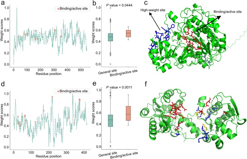 Figure 5. Comparison between the binding/active site and high-weight site within protein 3D-structures.
