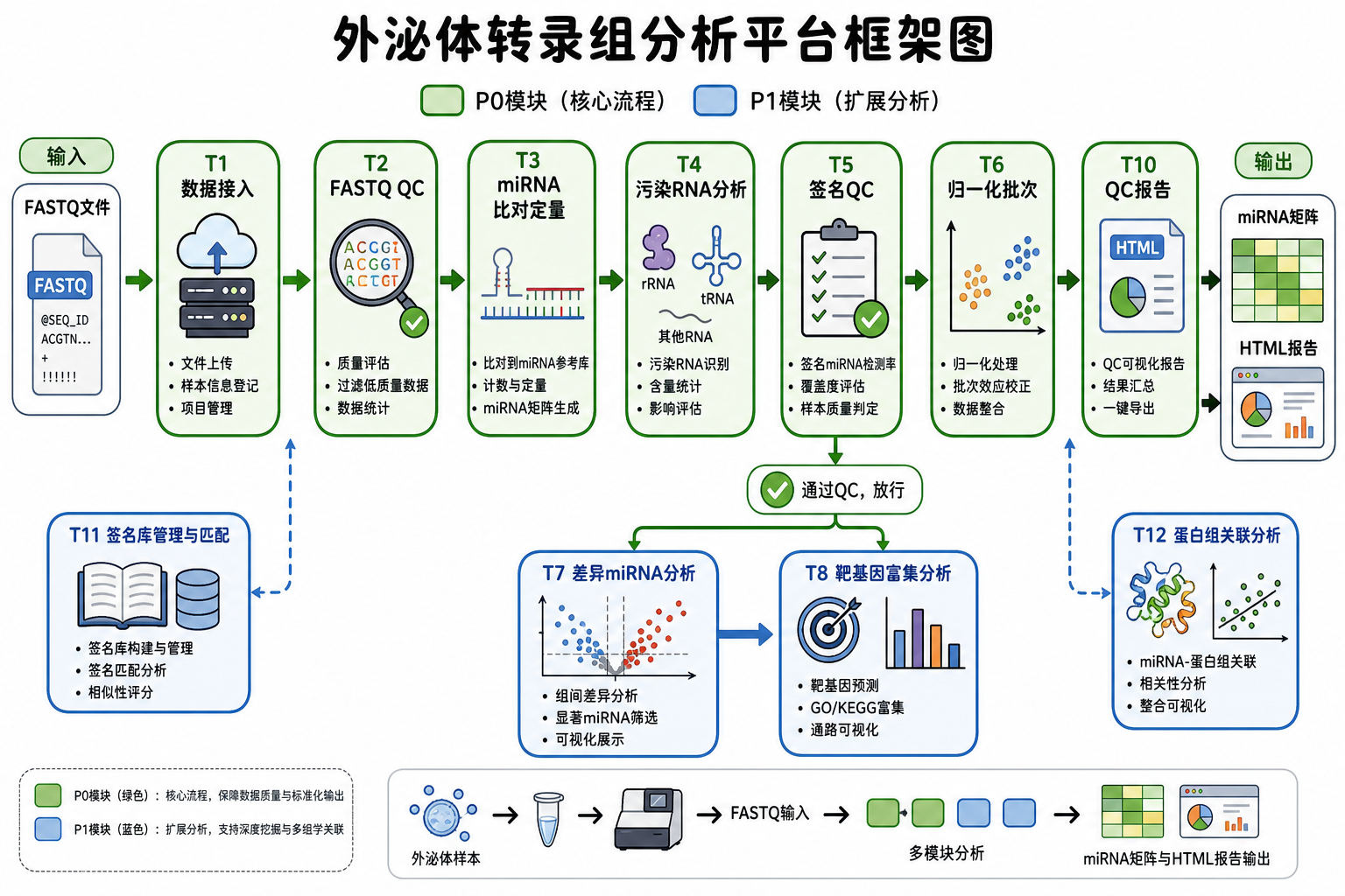 图 1 外泌体转录组分析平台框架