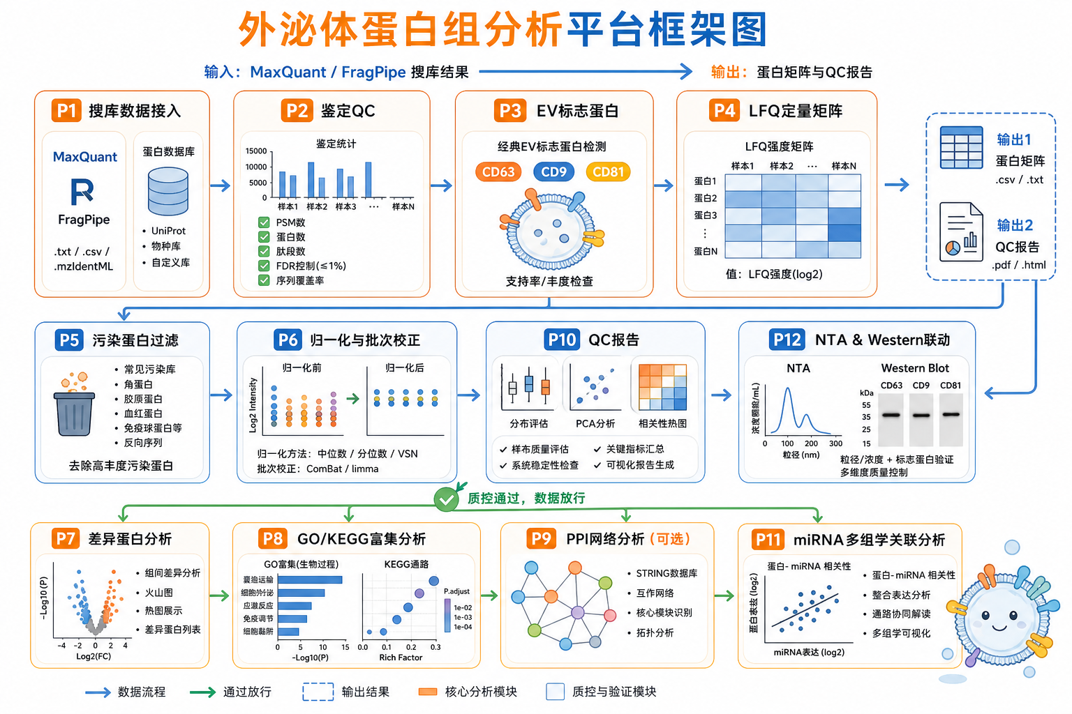 图 1 外泌体蛋白组分析平台框架