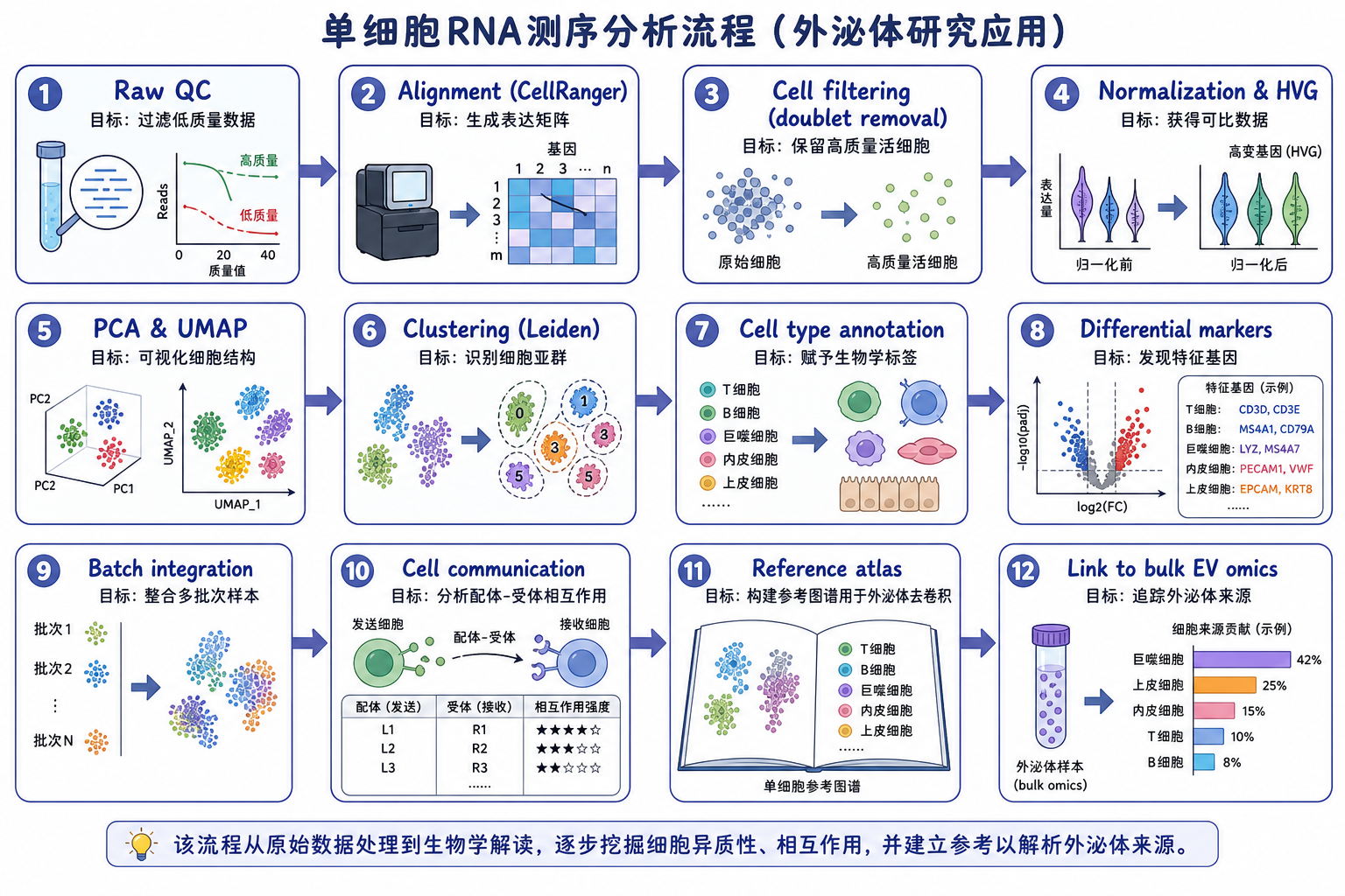图 1 单细胞 RNA 测序数据分析全流程(及每步目标)