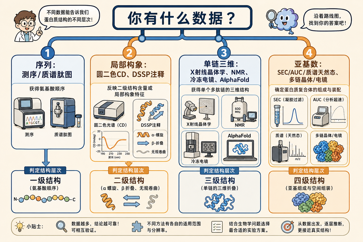 图 6 从数据类型到结构层次的判定地图