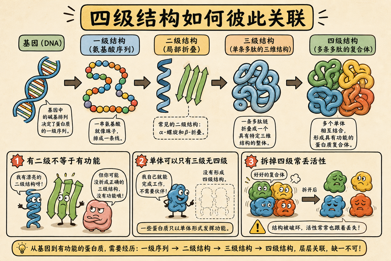 图 7 四级结构的因果链与警示
