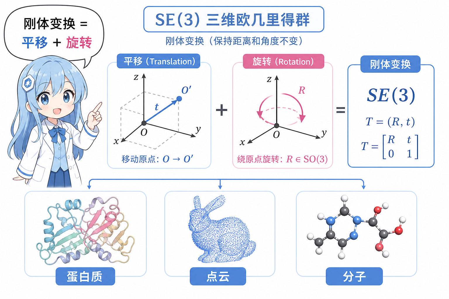 SE(3) = 平移 + 旋转;典型数据包括蛋白质、点云与分子