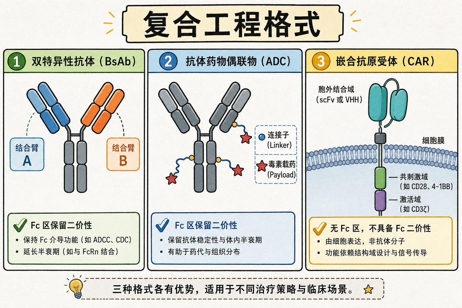 图 9 复合工程格式:双抗 / ADC / CAR 胞外域(在基础格式上「加什么」)