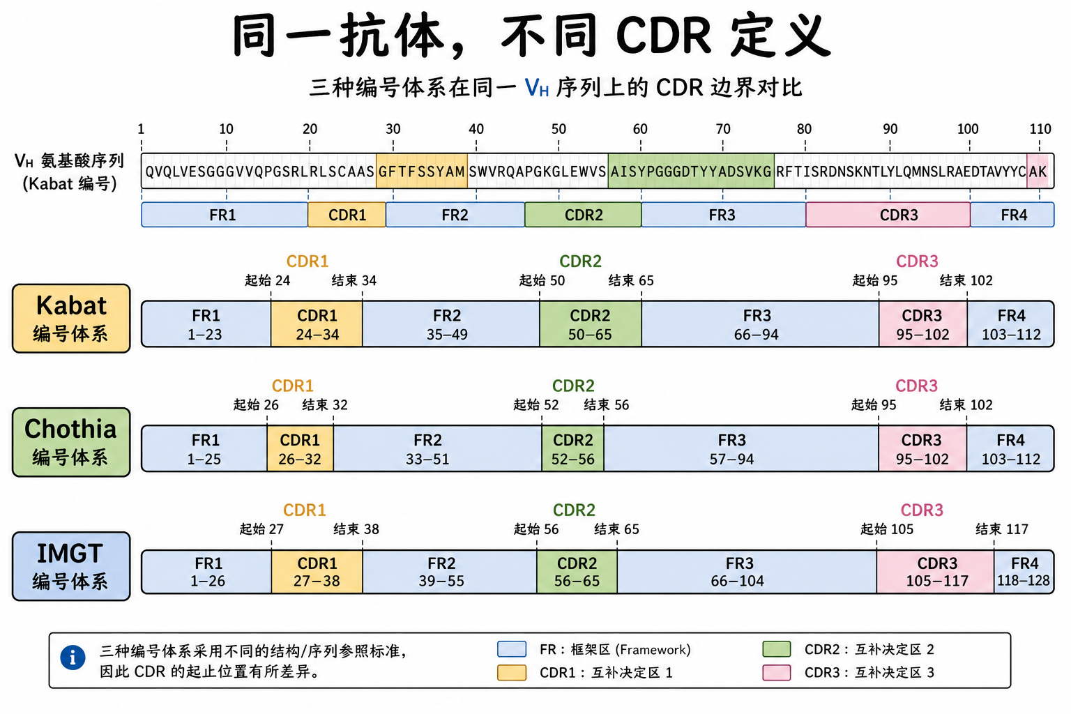 图 2 同一 VH 在 Kabat、Chothia、IMGT 下 CDR 边界可能不同(科普示意)
