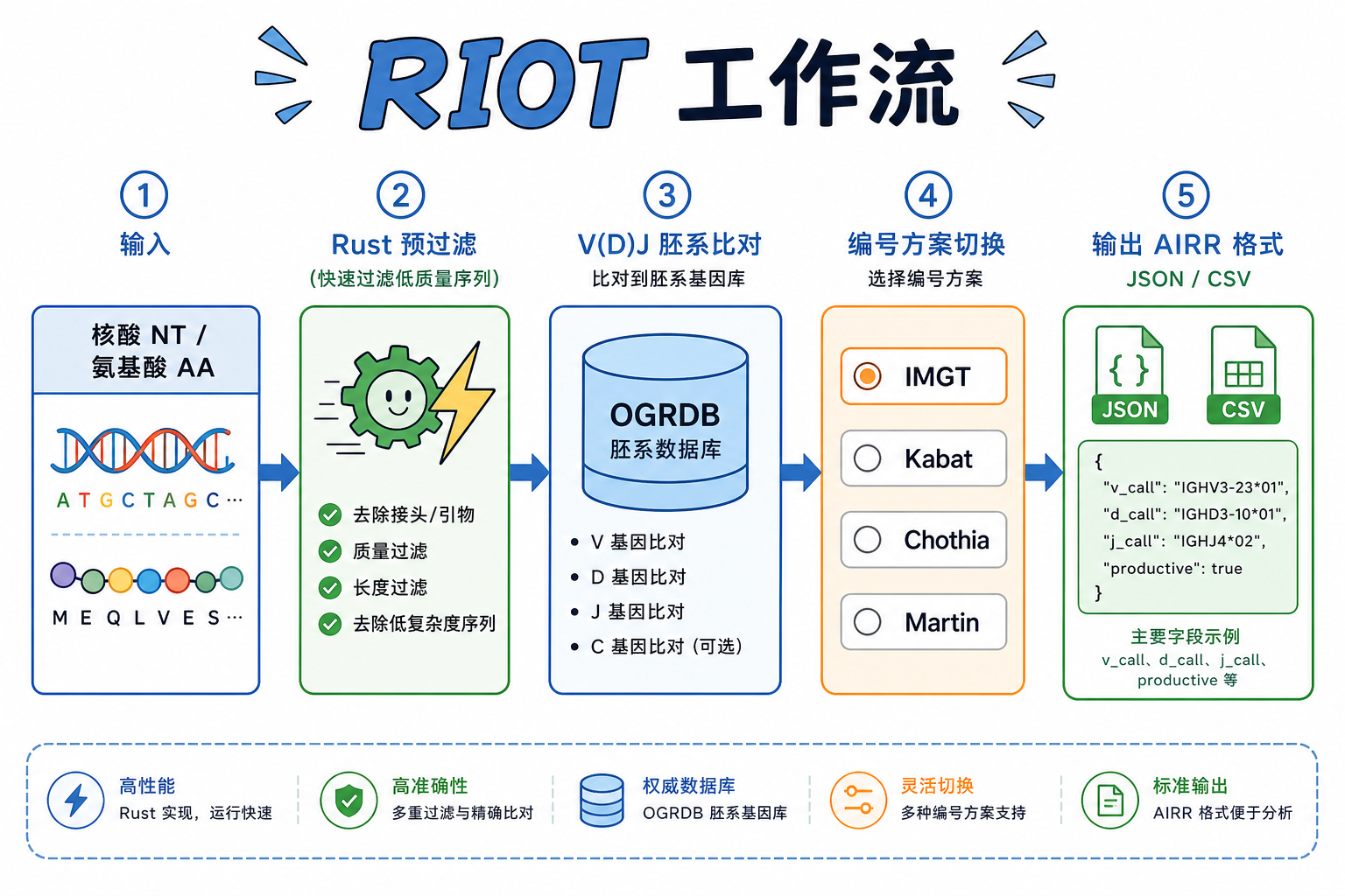 图 1 RIOT 工作流:序列输入 → Rust 预过滤 → 胚系比对与编号 → AIRR 格式输出(科普示意)
