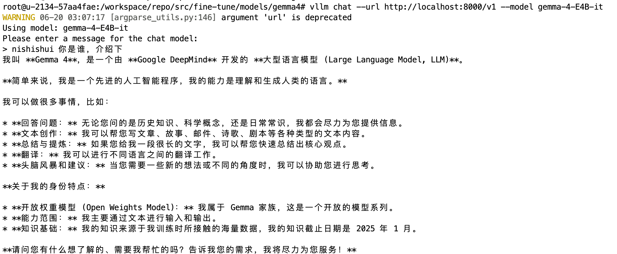vllm chat 中文对话:Gemma 4 自我介绍